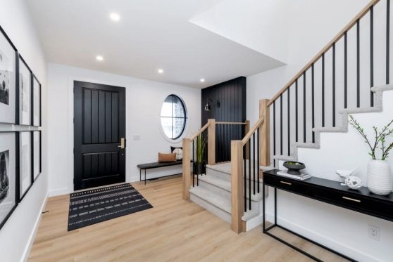 003-338-Taube-2023-1024x683