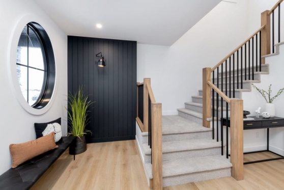 004-338-Taube-2023-1024x683