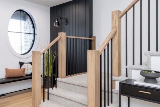 007-338-Taube-2023-683x1024