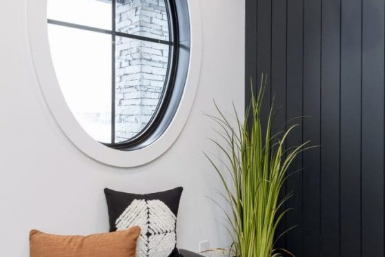 008-338-Taube-2023-683x1024