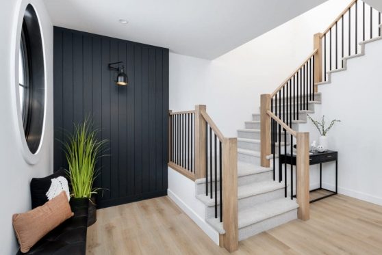 014-338-Taube-2023-1024x683