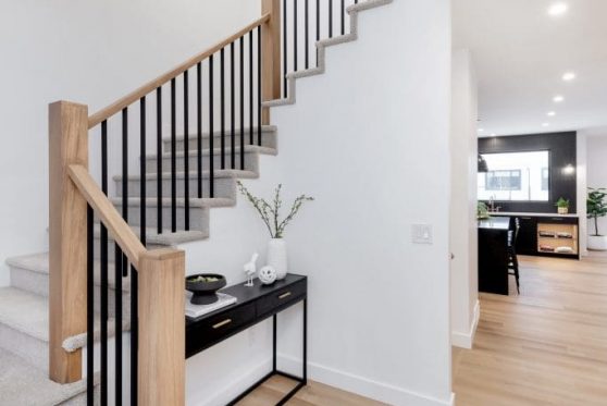 016-338-Taube-2023-683x1024