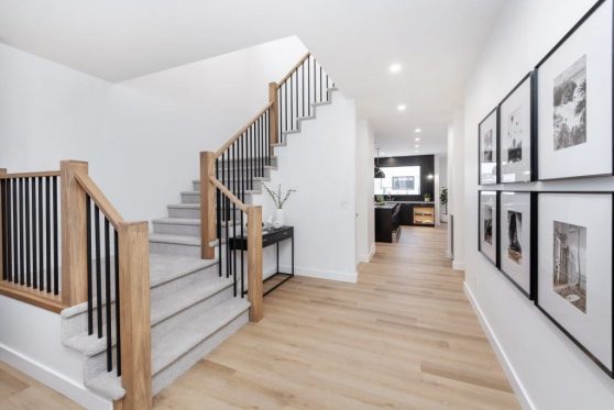 017-338-Taube-2023-1024x683