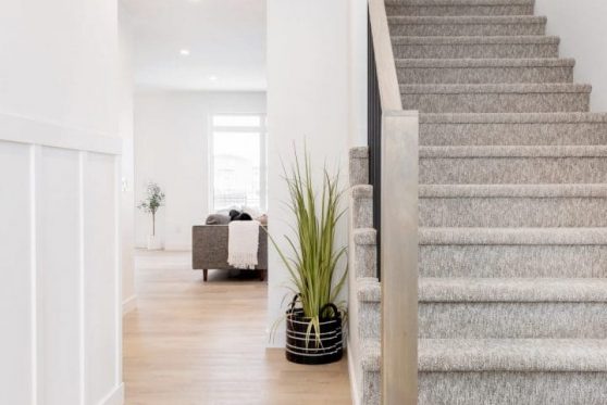 018-319-Aniskotaw-2023-scaled