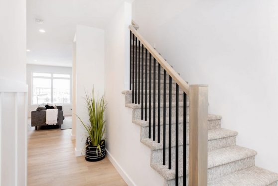 019-319-Aniskotaw-2023-scaled