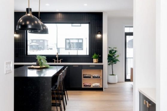 019-338-Taube-2023-683x1024