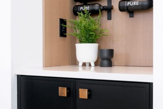 023-338-Taube-2023-683x1024