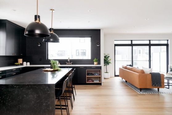 028-338-Taube-2023-1024x683