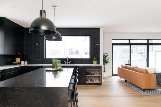 029-338-Taube-2023-1024x683