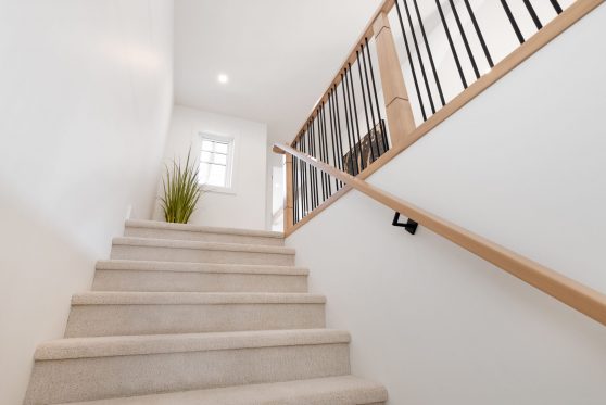 COPYRIGHTED BY D&M IMAGES