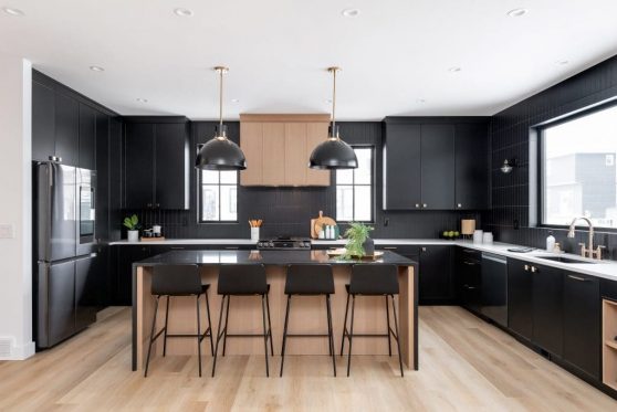 033-338-Taube-2023-1024x683