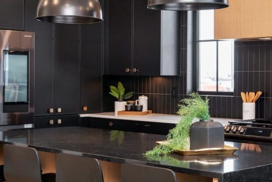 039-338-Taube-2023-683x1024