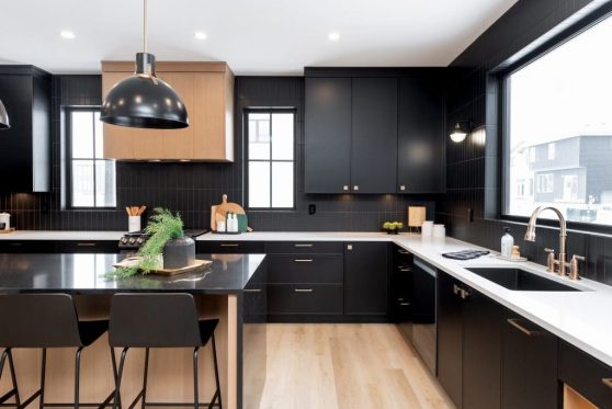 042-338-Taube-2023-1024x683