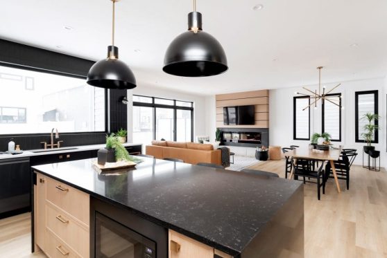 052-338-Taube-2023-1024x683