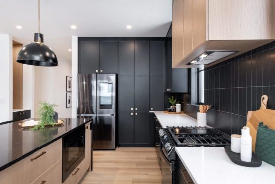 053-338-Taube-2023-1024x683