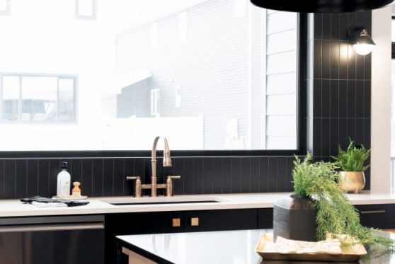 063-338-Taube-2023-683x1024