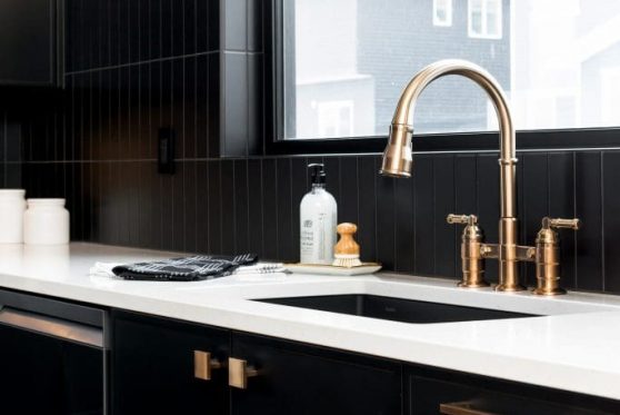 064-338-Taube-2023-683x1024