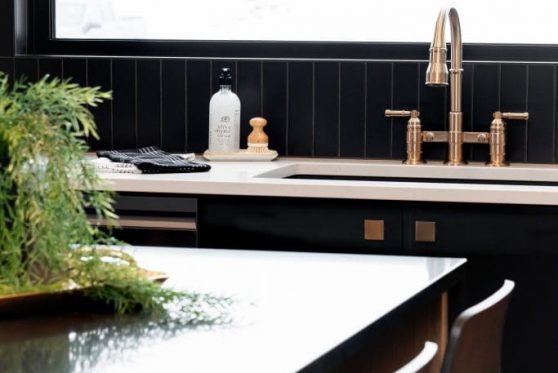 065-338-Taube-2023-683x1024