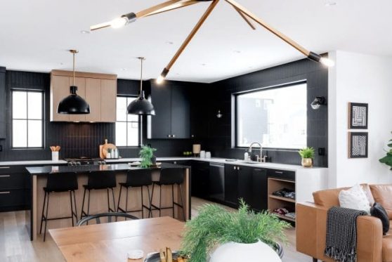 080-338-Taube-2023-683x1024