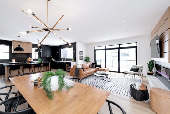 081-338-Taube-2023-1024x683