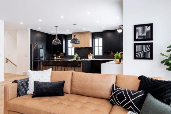 097-338-Taube-2023-1024x683