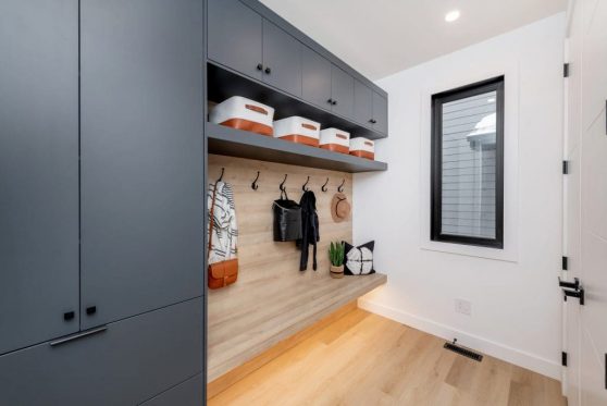 101-338-Taube-2023-1024x683