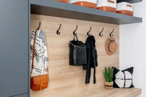 104-338-Taube-2023-683x1024