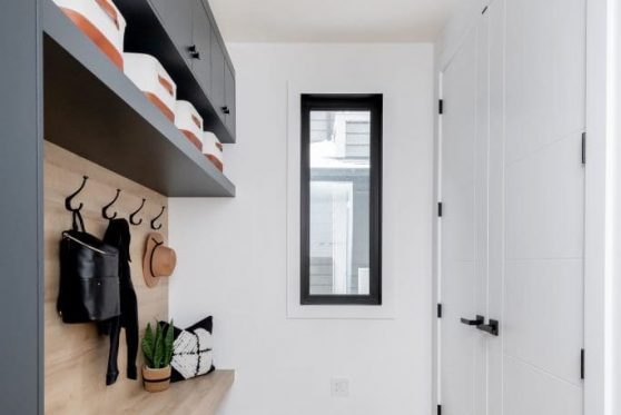 105-338-Taube-2023-683x1024