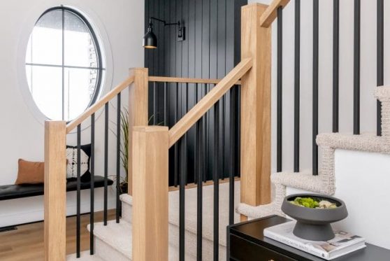 110-338-Taube-2023-683x1024