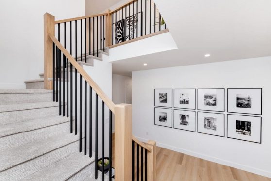 111-338-Taube-2023-1024x683