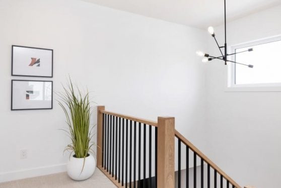 116-338-Taube-2023-683x1024