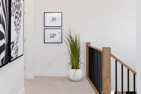 117-338-Taube-2023-683x1024