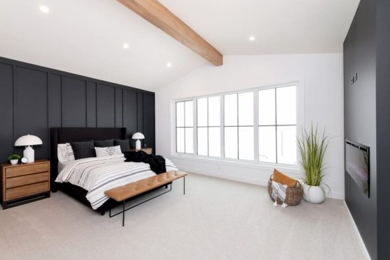 119-338-Taube-2023-1024x683