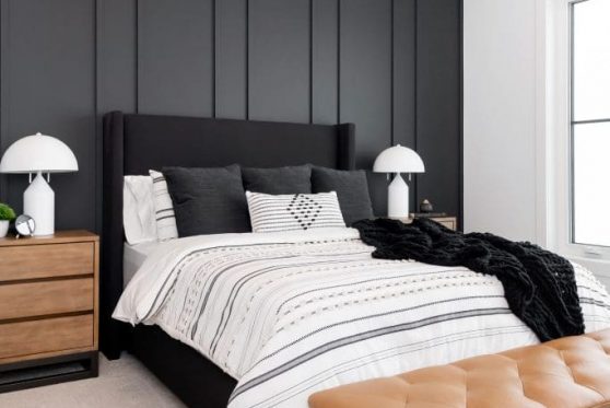 121-338-Taube-2023-683x1024