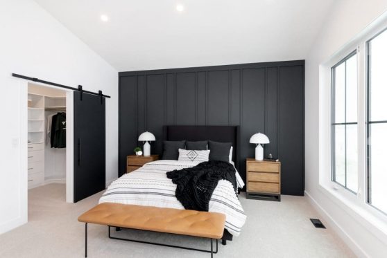 123-338-Taube-2023-1024x683