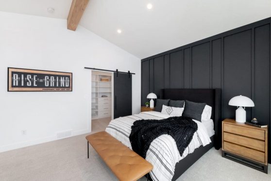 125-338-Taube-2023-1024x683