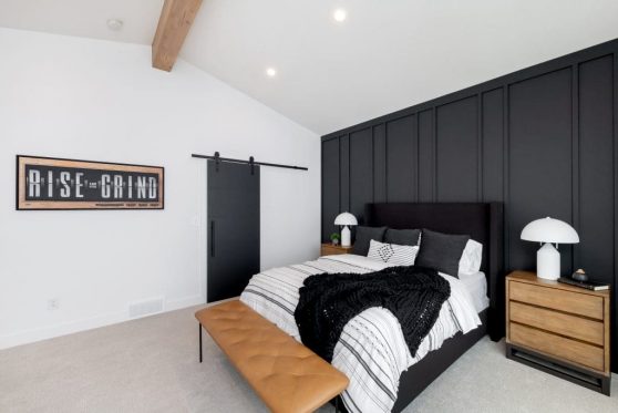 126-338-Taube-2023-1024x683