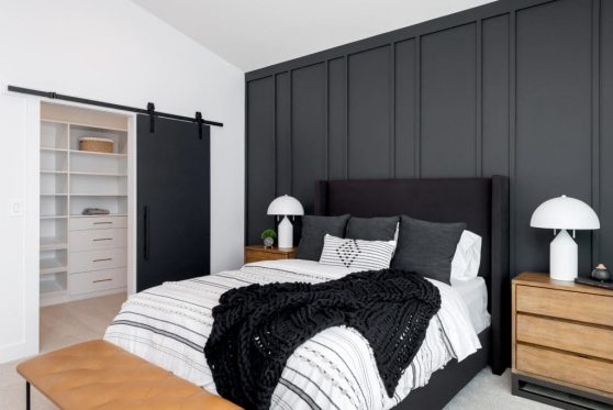 128-338-Taube-2023-1024x683