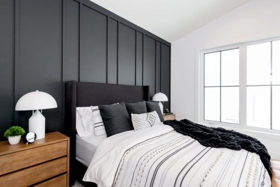 132-338-Taube-2023-1024x683