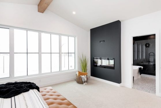 133-338-Taube-2023-1024x683