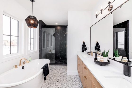 137-338-Taube-2023-1024x683