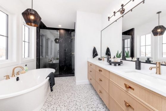 138-338-Taube-2023-1024x683