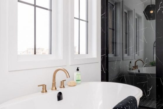 140-338-Taube-2023-683x1024