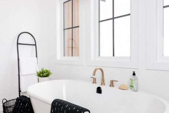 142-338-Taube-2023-683x1024