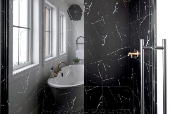 146-338-Taube-2023-683x1024