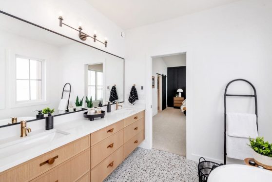 147-338-Taube-2023-1024x683