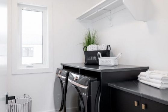 148-338-Taube-2023-683x1024