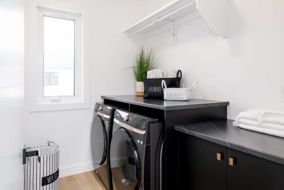 149-338-Taube-2023-1024x683