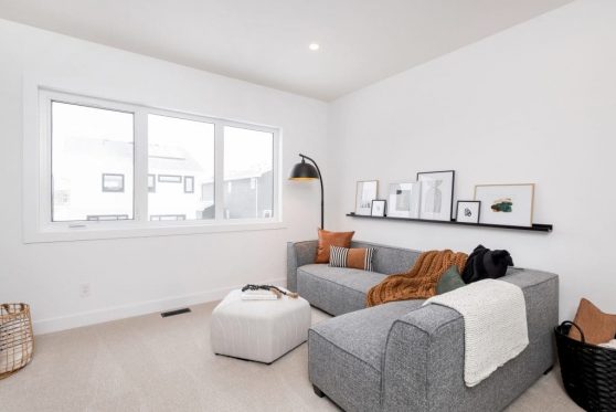 152-338-Taube-2023-1024x683