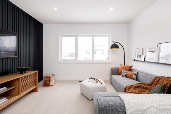 153-338-Taube-2023-1024x683